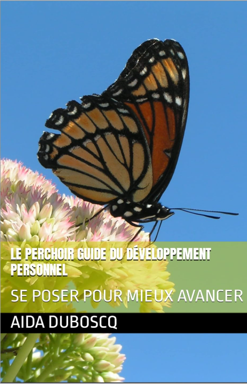 Couverture du livre Le Perchoir, guide du développement personnel, par Aida Duboscq